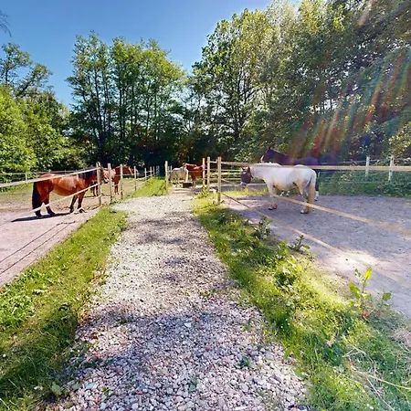 Reiterpension Marlie Guest house Scharbeutz