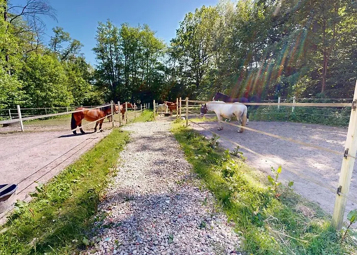 Reiterpension Marlie Affittacamere Scharbeutz